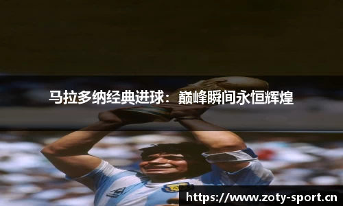 中欧体育平台