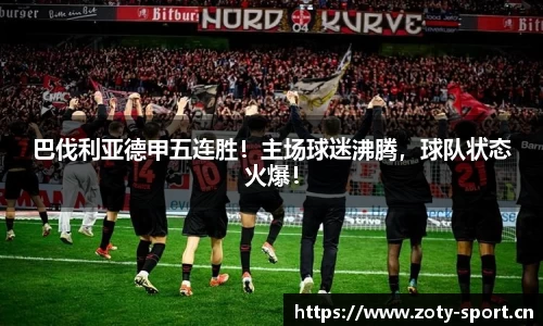 中欧体育平台