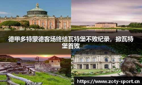 中欧体育