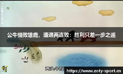 中欧体育