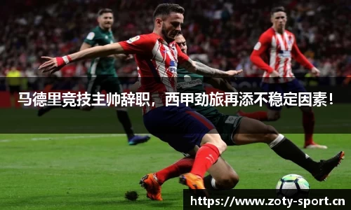 中欧体育平台