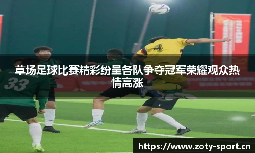中欧体育官方网站