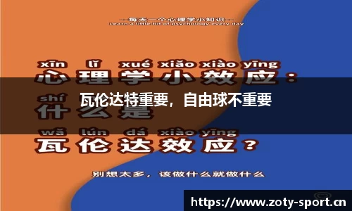 中欧体育