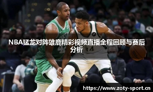 中欧体育平台