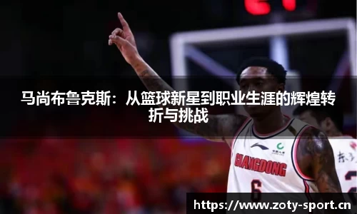中欧体育官网